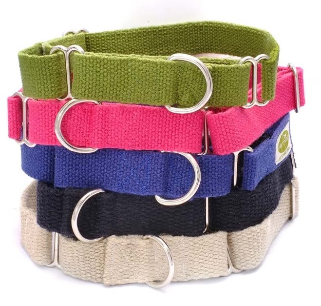 martingale collar