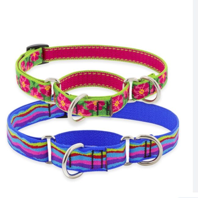 martingale collar