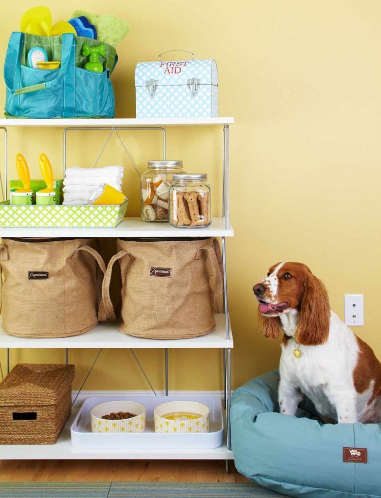 Dog Room Ideas