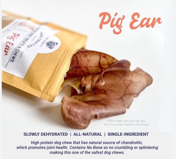 pig ears for dogs