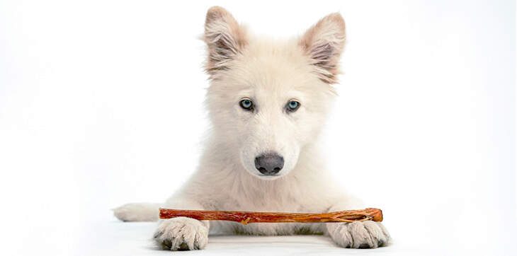 Bully Sticks