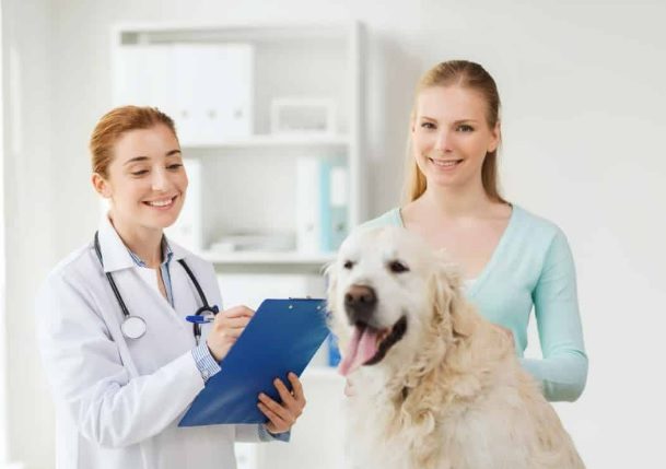 Dog Coughing 