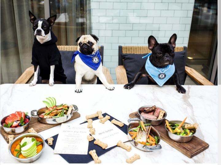 Dog Friendly Restaurants