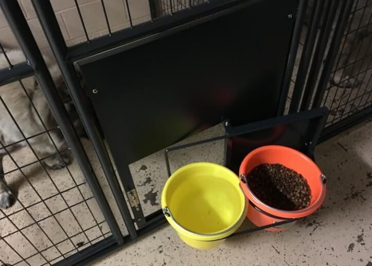 retriever dog kennel