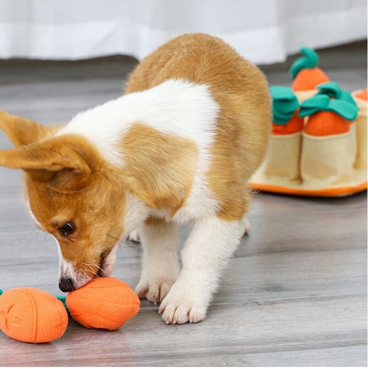 Squeaky Toys