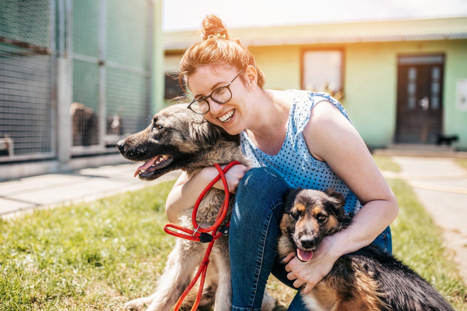 Humane Society Miami