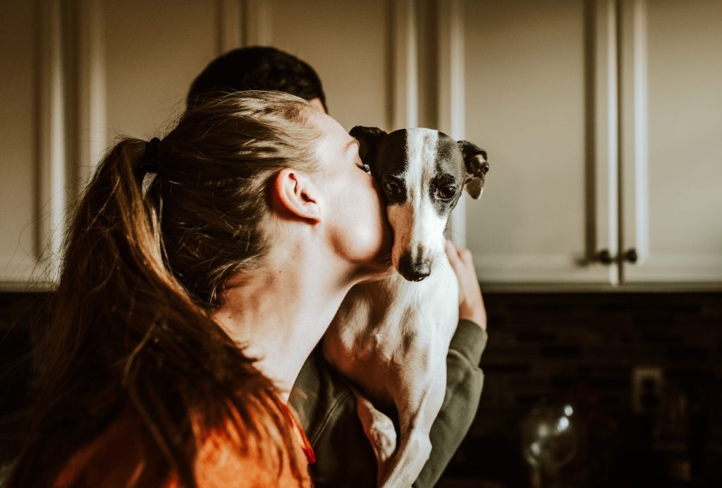 SPCA of Texas: woman in orange shirt hugging white and black short coated dog