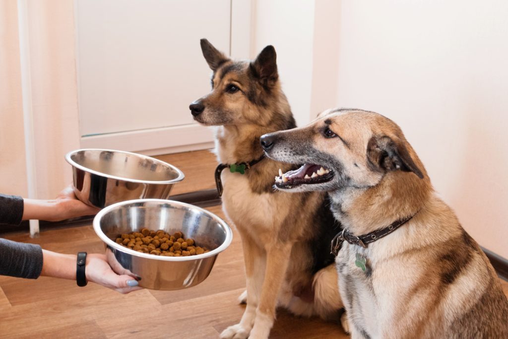 Nutrisource Dog Food