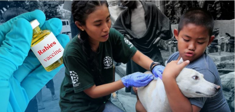 Dogs Need Rabies Shots