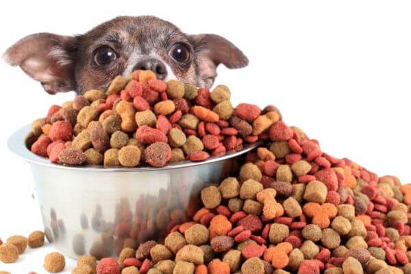 Abound Superfood Blend Natural Adult Dog Dry Food - Salmon, Egg & Pumpkin Recipe