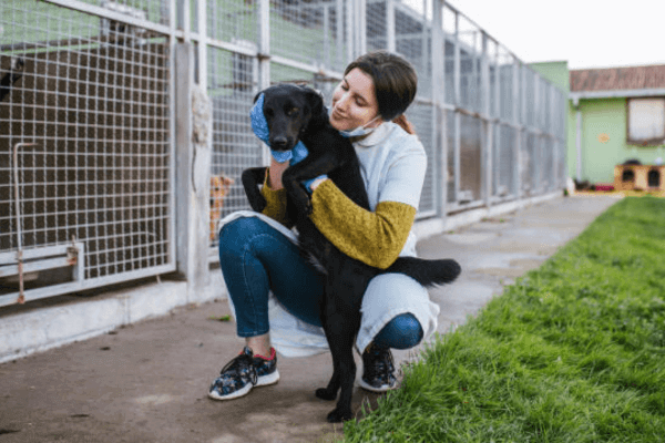 Adopt Dont Shop