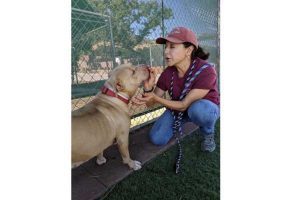 Agoura Hills Animal Shelter