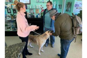 Agoura Hills Animal Shelter