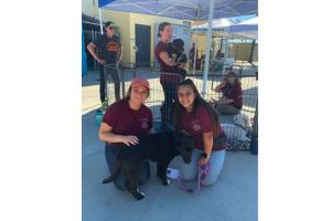 Animal Care Center