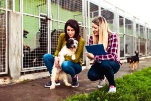 Animal Rescue Las Vegas