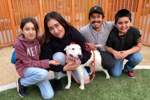 Animal Rescue in Las Vegas