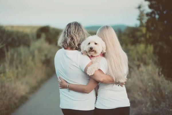 Apartments With Dog Parks 
