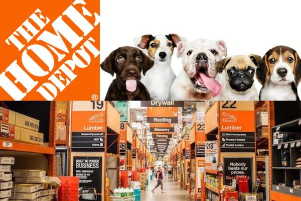 Are Dogs Allowed In Home Depot