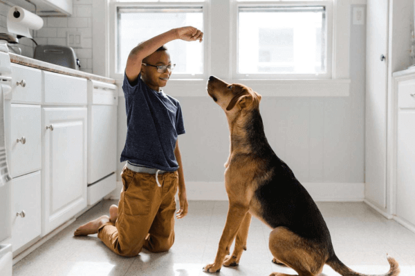 Atlanta Dog Trainer
