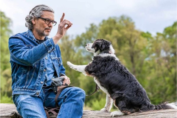 Atlanta Dog Trainer
