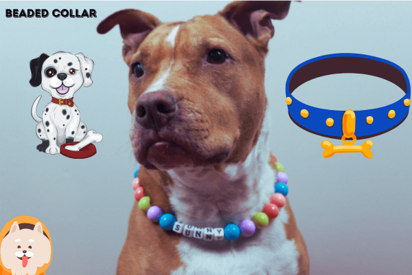 Beaded Dog Collars
