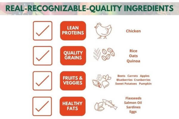 Bench And Field Holistic Natural Adult Dry Dog Food (1)