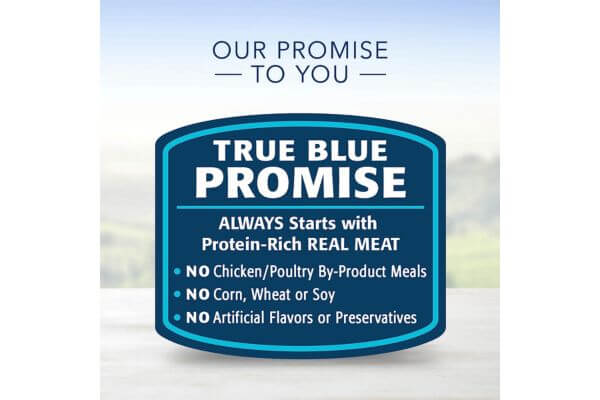 Blue Buffalo Delights Natural Adult Small Breed Wet Dog Food Cups
