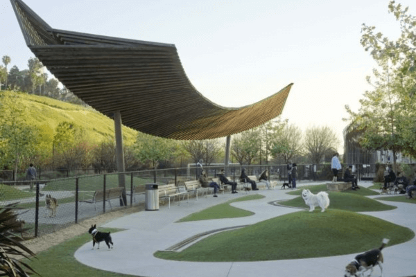 Bluff Creek Dog Park