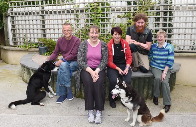 Bright Eyes Dog Rescue