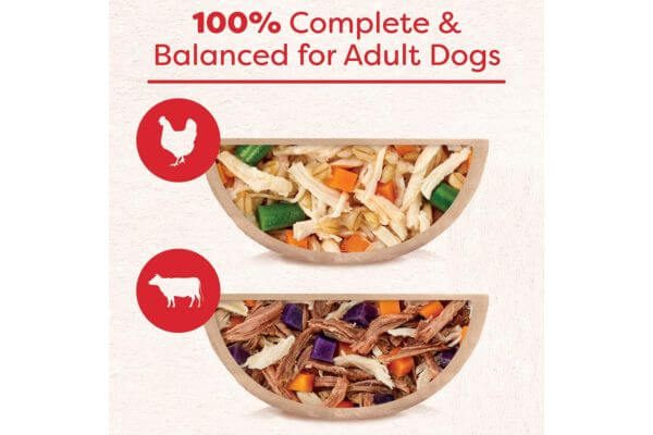 CESAR WHOLESOME BOWLS Adult Soft Wet Dog Food