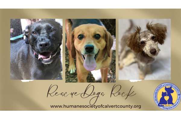 Calvert County Humane Society