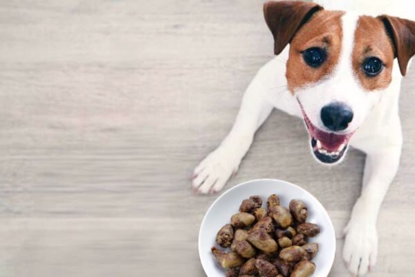 Chicken Hearts for Dogs