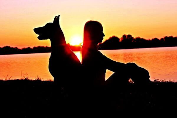 Coping-with-the-Loss-of-a-Dog-1