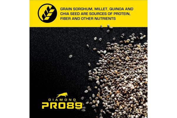 Diamond Pro89 Dry Dog Food