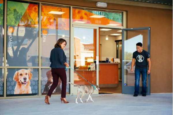 Dog Boarding in Portland