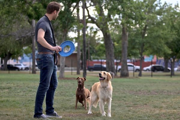 Dog Park San Antonio