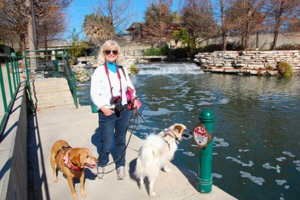 Dog Park San Antonio