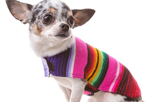 Dog Poncho 