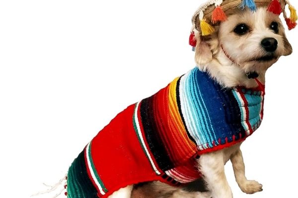 Dog Poncho 
