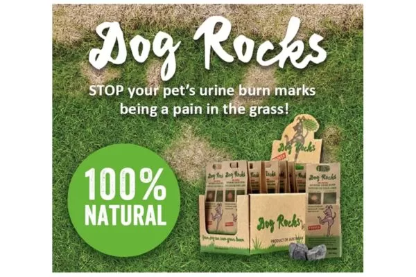 Dog Rocks