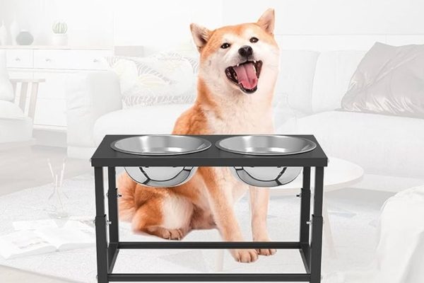 Dog Stand