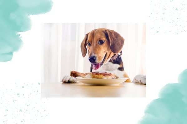 Dog Stand 