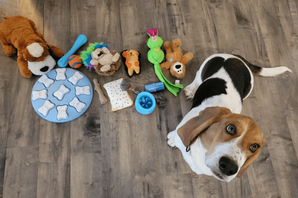 Dog Teething Toys