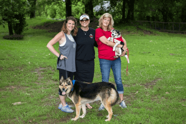 Dogworld Dog Park