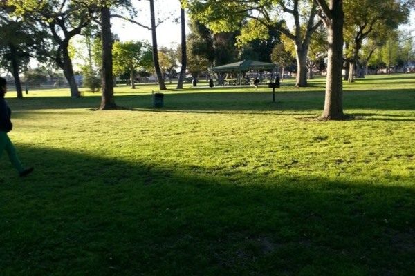 Furman Park 