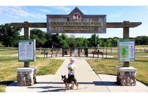 Grand Ravines Dog Park