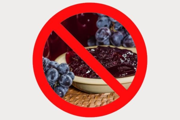Grape Jelly