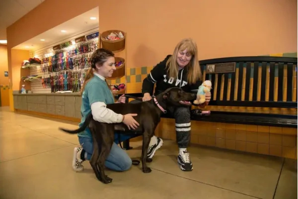 Greater Androscoggin Humane Society Content Image