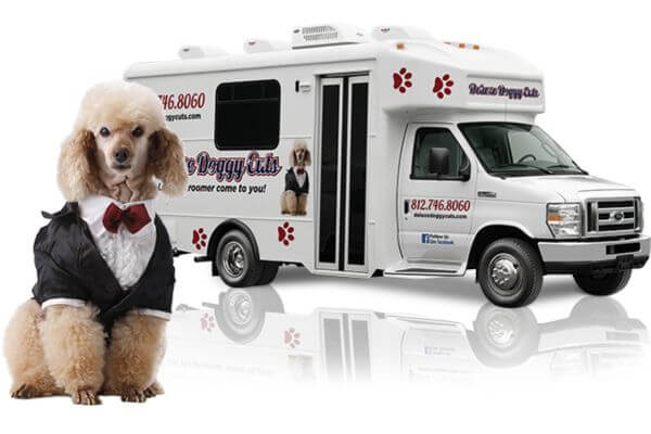 Dog Grooming in Chicago