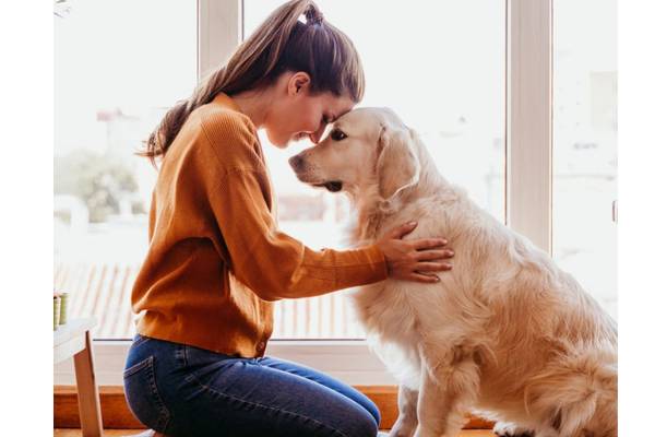 How Long Is A Dogs Memory